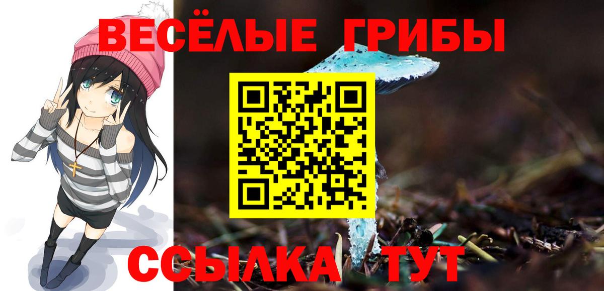 Галлюциногенные грибы мухоморы Знаменск