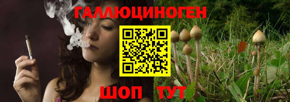Галлюциногенные грибы мухоморы  Вход с VPN  Знаменск 